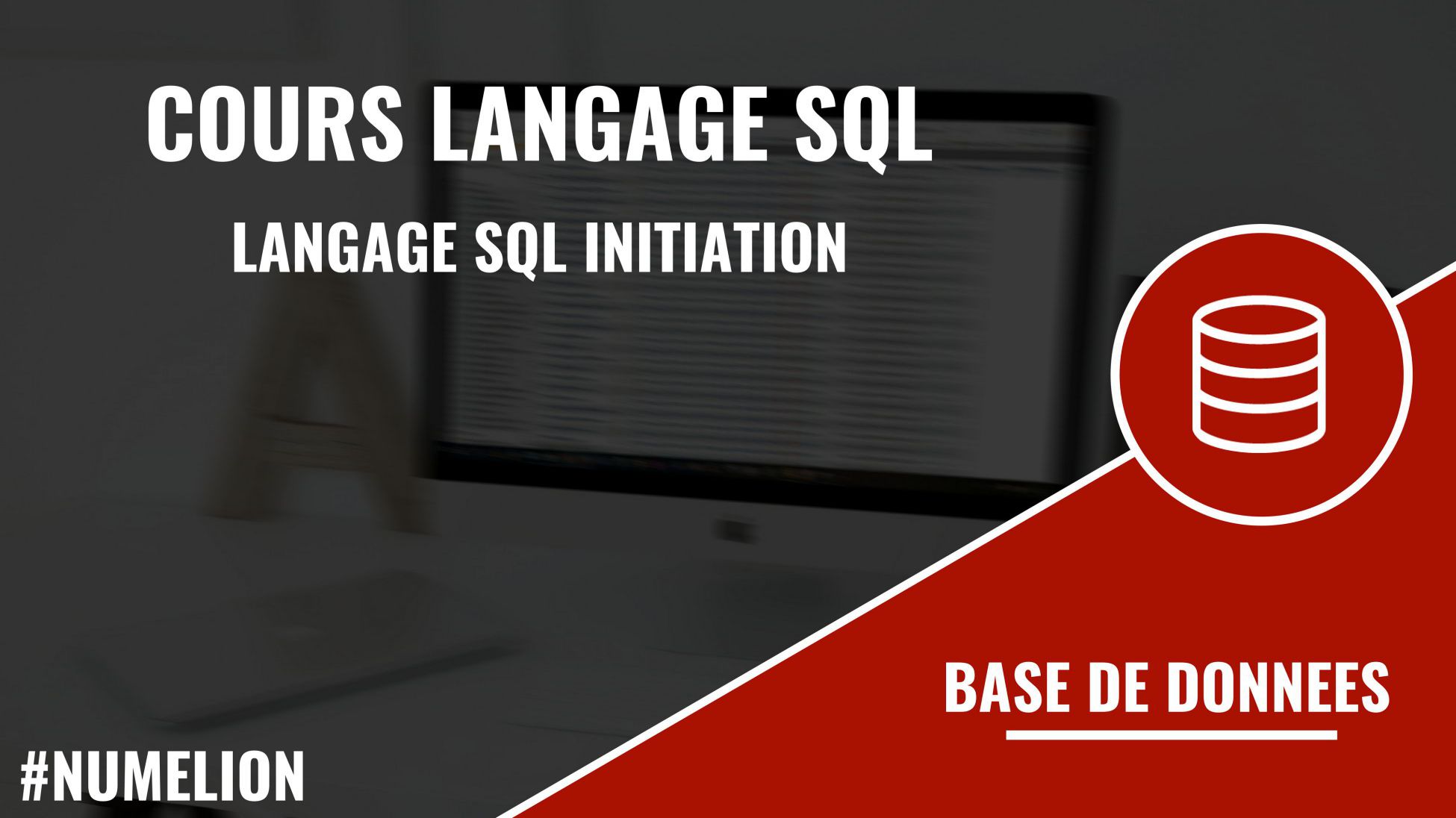 Initiation au langage SQL et aux bases de données
